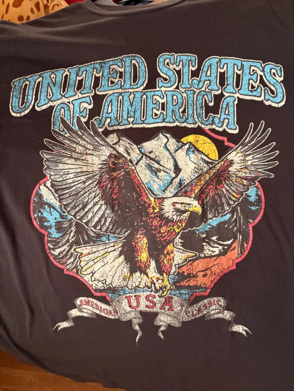 United States of America Eagle Graphic Tee - Black